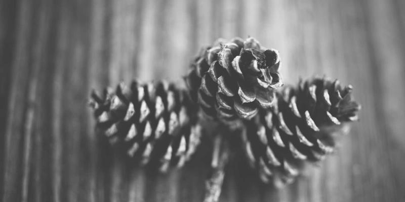 创新企业资源整合指南：借力打力